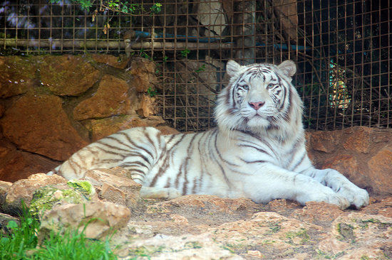 Haifa Educational Zoo